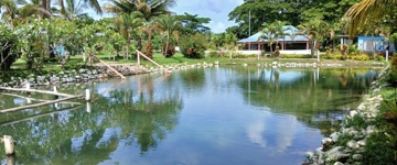 Garden Of The Sleeping Giant & Mudpool Hotspring Tour (Fiji)