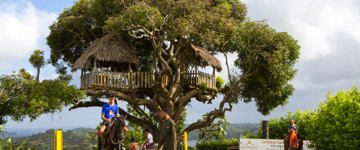 Eco tour: Chagres River Farm Day Tour Adventures (Panama)