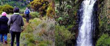 4 Days Samburu And Aberdare National Park Safari Package (Kenya)