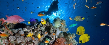 Nile Cruise & Red Sea Delights (Egypt)