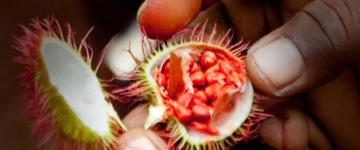 5 Days | 4 Nights – Zanzibar North Or East Beach (Tanzania)