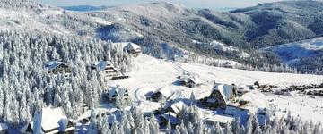 1.5-hour Private Dog Sledging Tour In Harghita County (Romania)