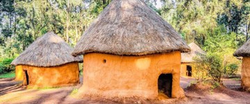 Nairobi National Park, Giraffe Center, David Sheldrick Wildlife Trust & Bomas  Of Kenya Trip (Kenya)