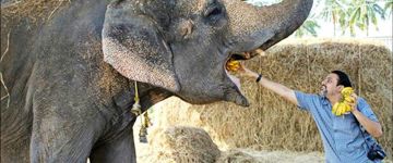 From Delhi: Taj Mahal Tour With Elephant Conservation Centre (India)