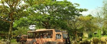Bali Wildlife Safari Adventure (Indonesia)