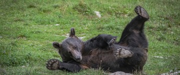 3-Day Adventure In Harghita & Nature Wonders (Romania)