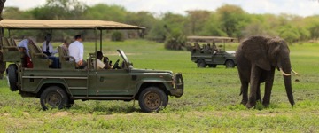 Day Trip - Selous Day Safari Tour (Tanzania)