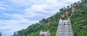 From Mahabalipuram: Private Tour To Tiruvannamalai & Gingee (India)